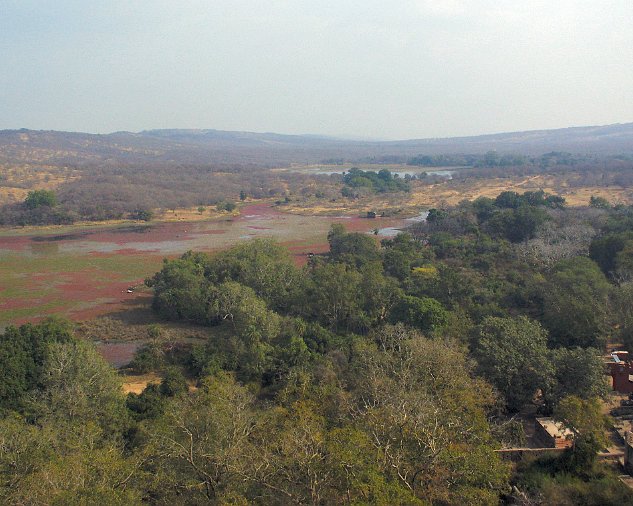 Ranthambhore