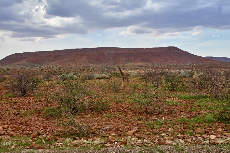 Namibia2024_0189