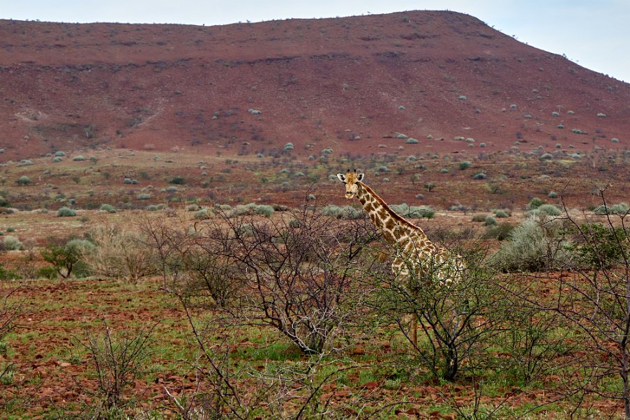 Namibia2024_0190