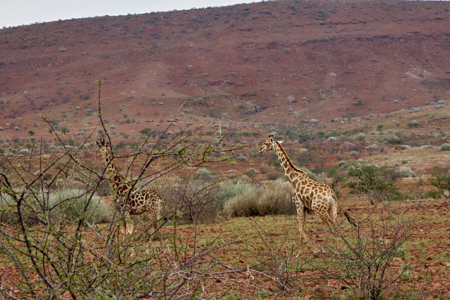 Namibia2024_0191