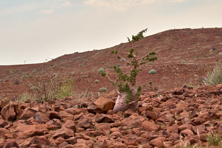 Namibia2024_0197