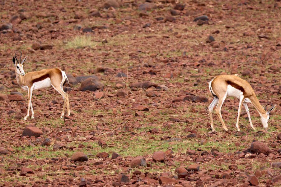 Namibia2024_0199