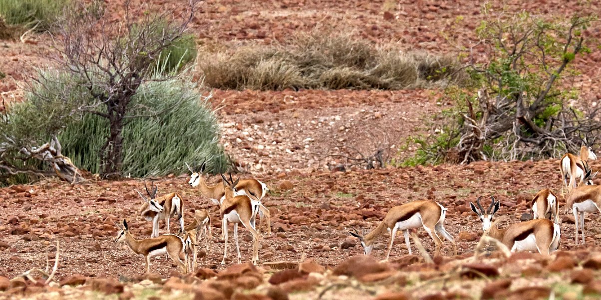 Namibia2024_0202