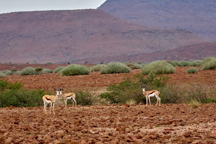 Namibia2024_0203