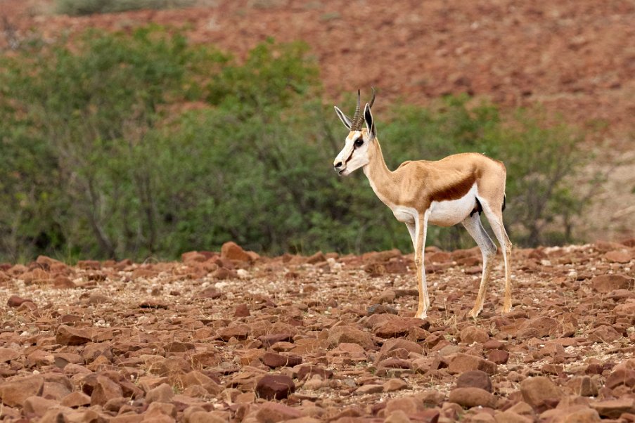 Namibia2024_0204