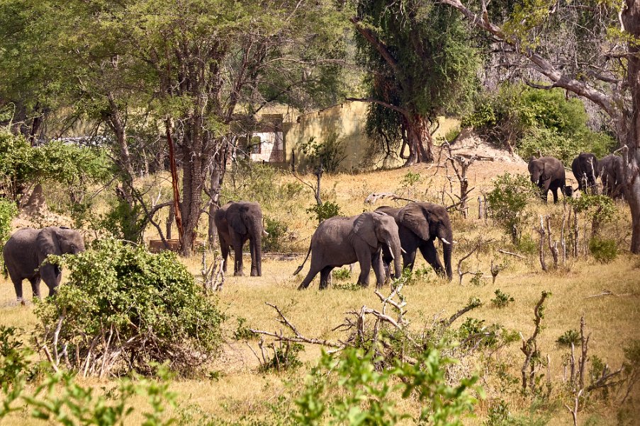 Namibia2024_0473