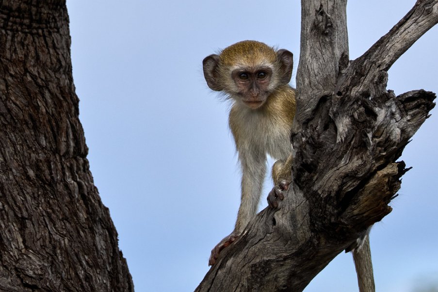 Namibia2024_0480