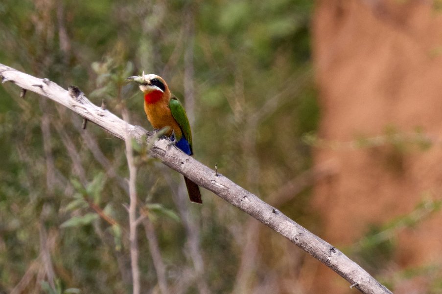 Namibia2024_0482