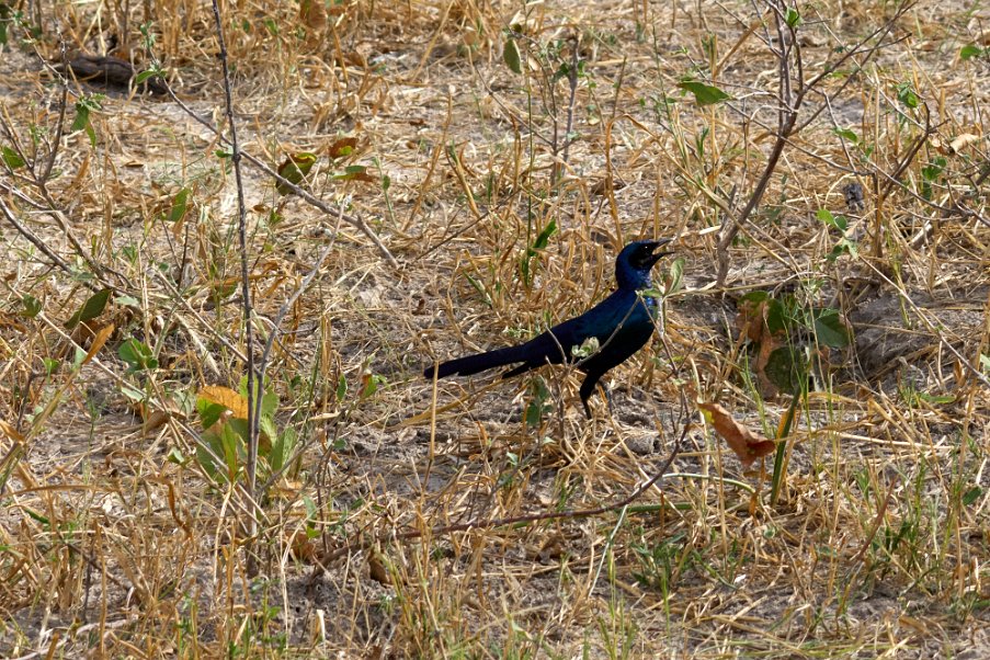 Namibia2024_0487