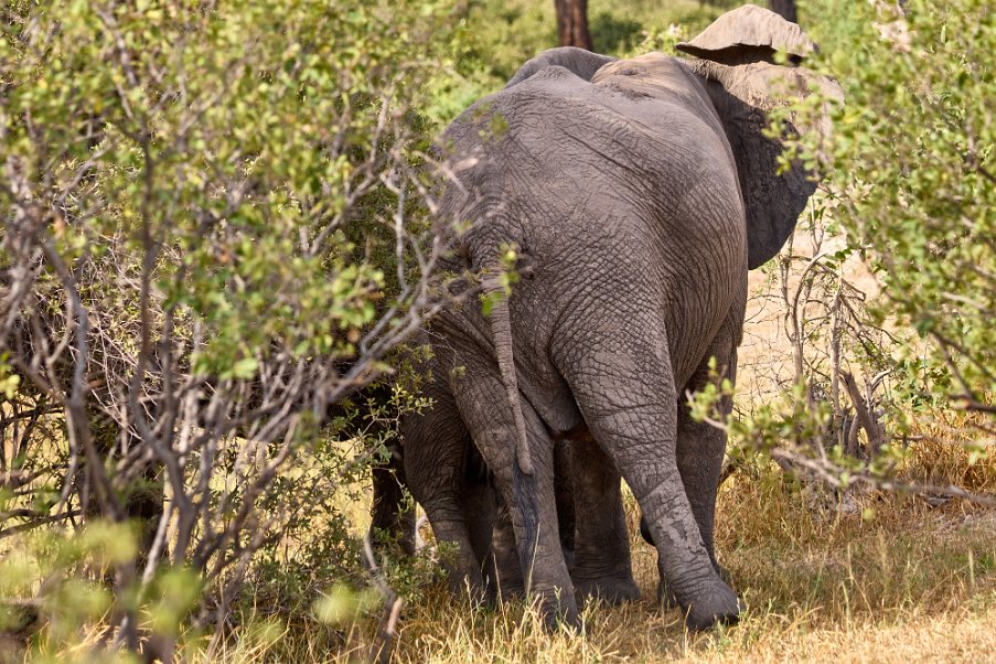 Namibia2024_0488