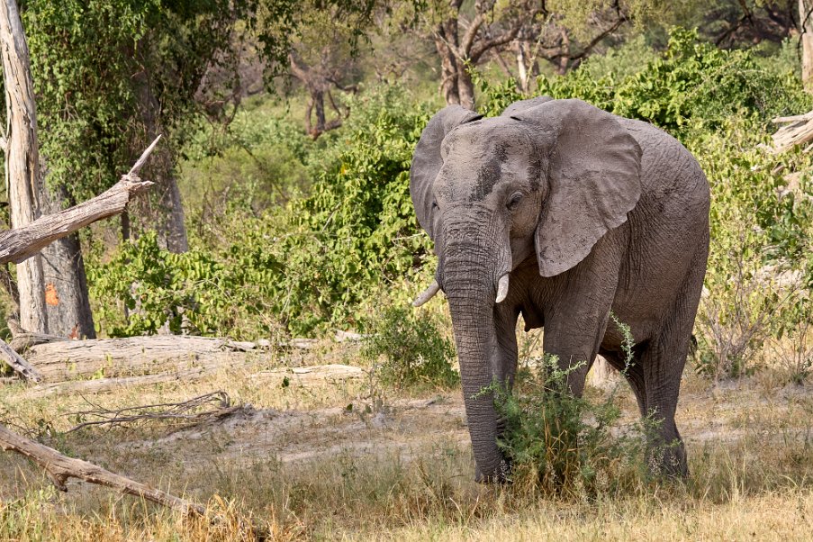 Namibia2024_0489