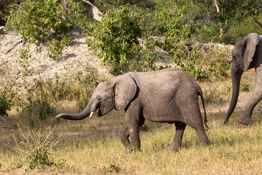 Namibia2024_0490