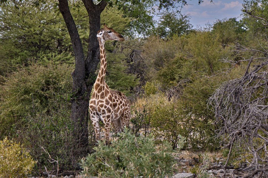 Namibia2024_0287