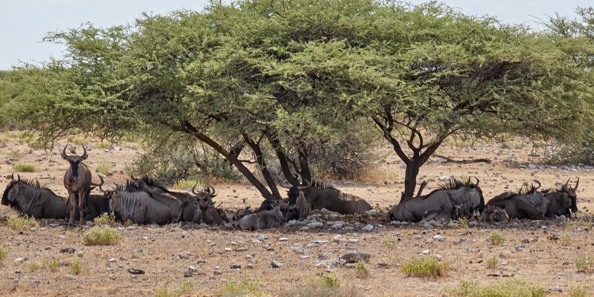 Namibia2024_0288