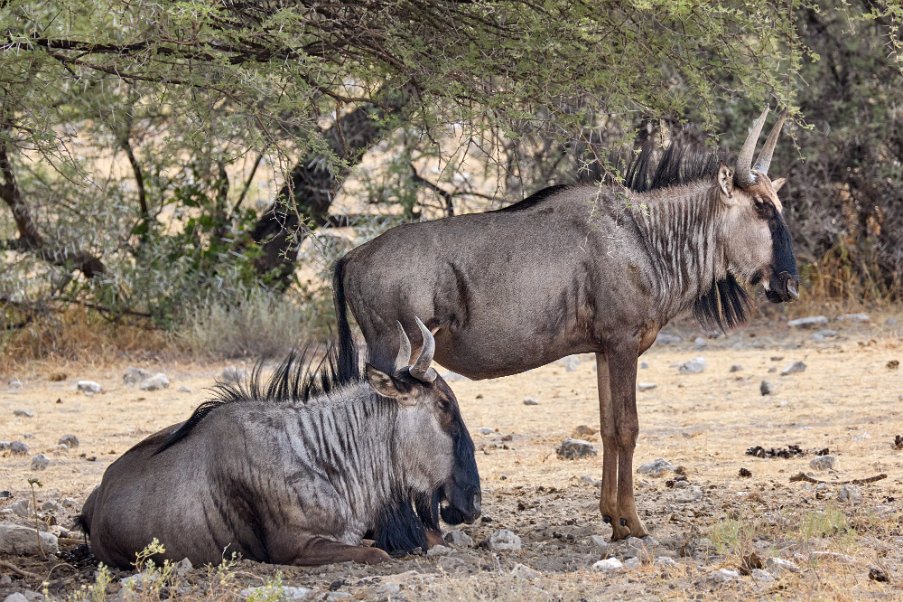 Namibia2024_0291