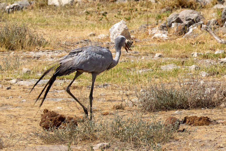 Namibia2024_0292