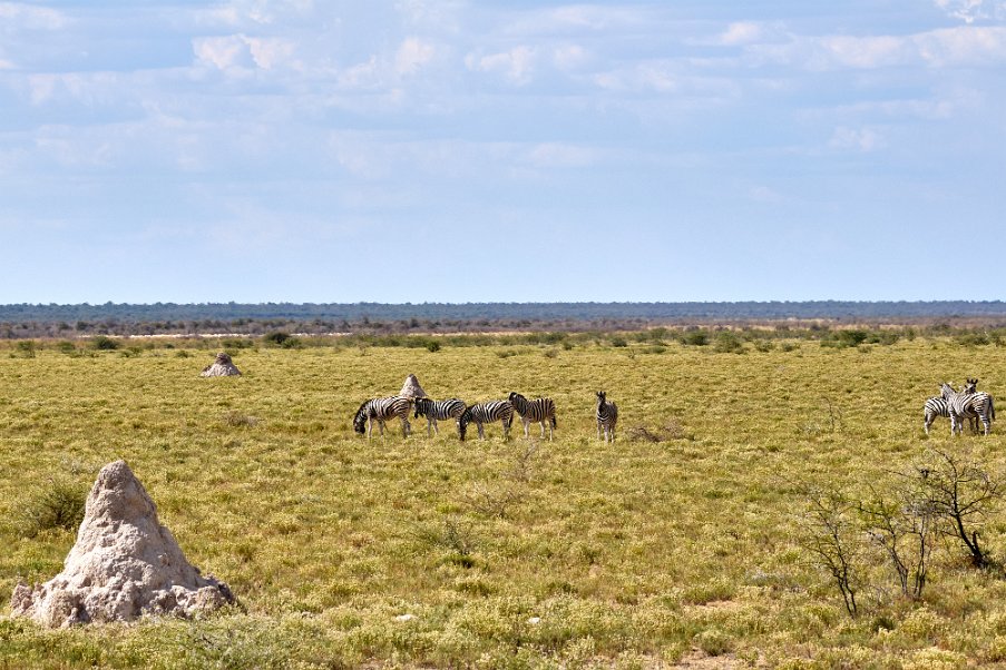 Namibia2024_0297