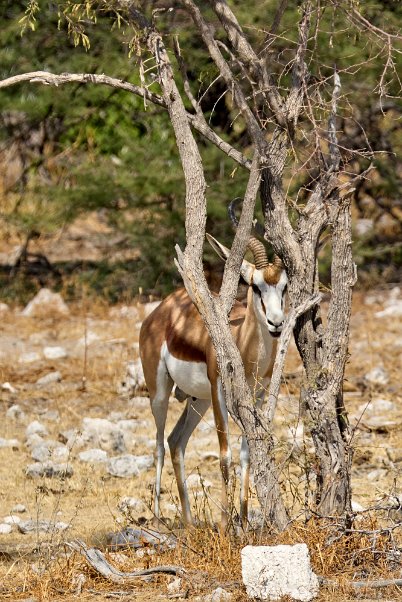 Namibia2024_0298