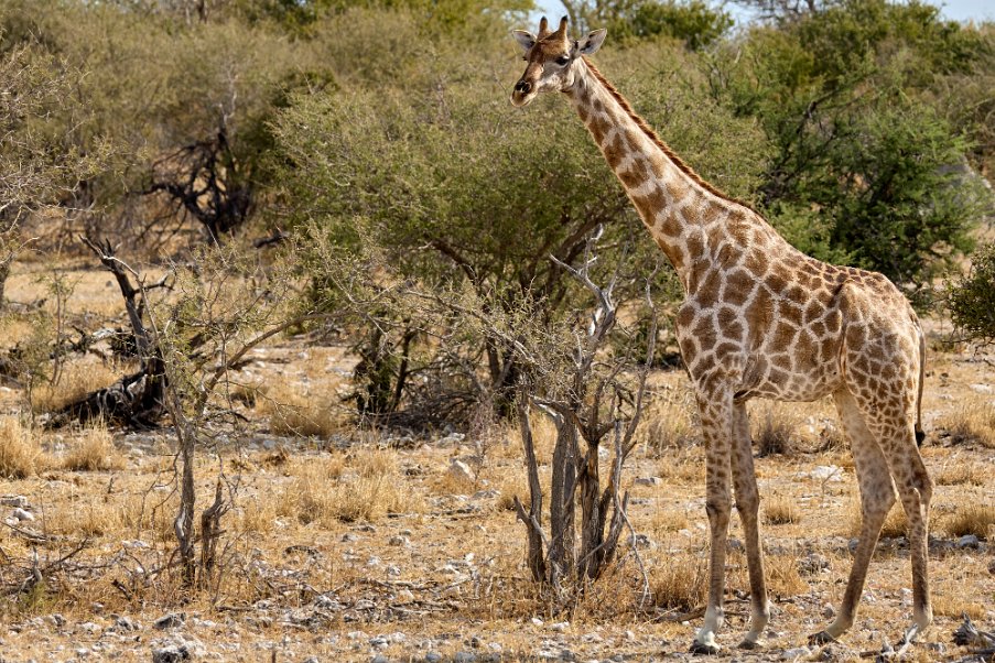 Namibia2024_0300