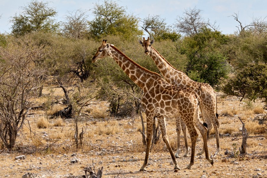 Namibia2024_0301