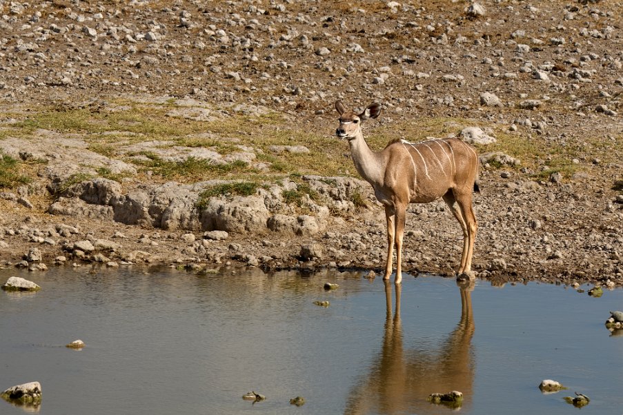 Namibia2024_0302