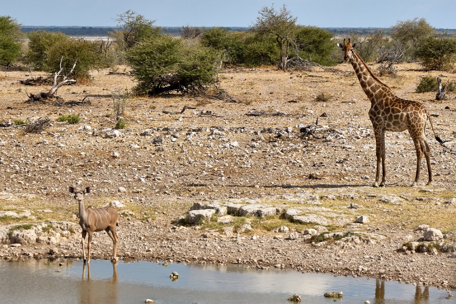 Namibia2024_0303