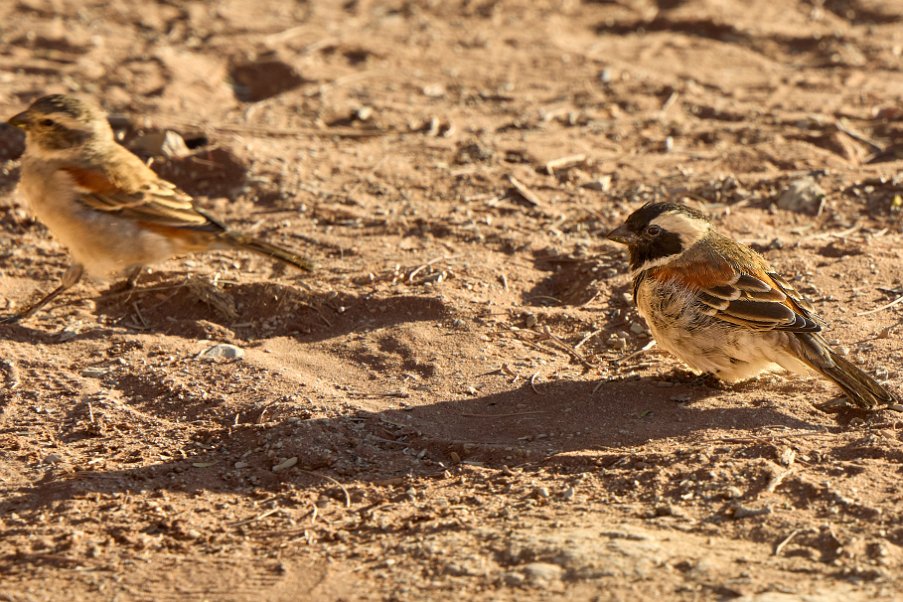 Namibia2024_0019