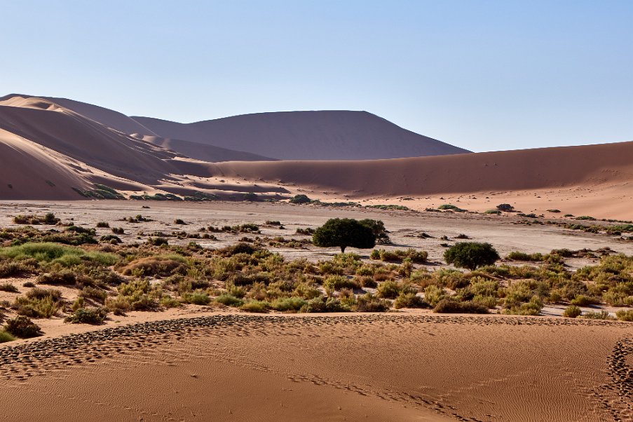 Namibia2024_0025