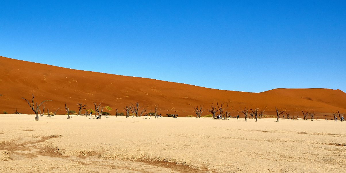 Namibia2024_0036