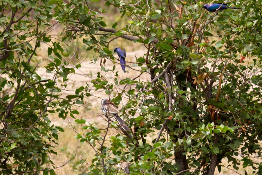 Namibia2024_0593