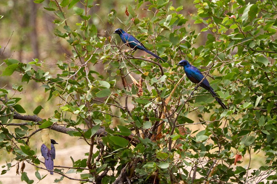 Namibia2024_0594