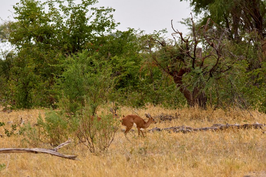 Namibia2024_0595