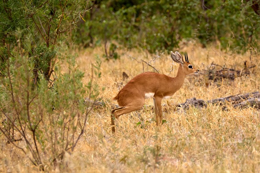 Namibia2024_0596