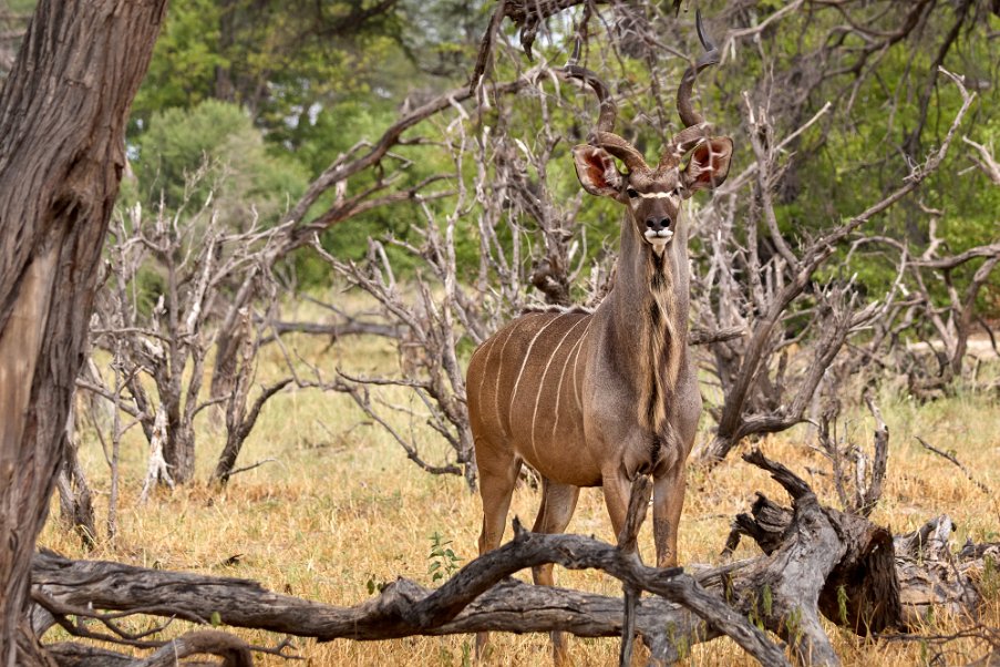 Namibia2024_0597