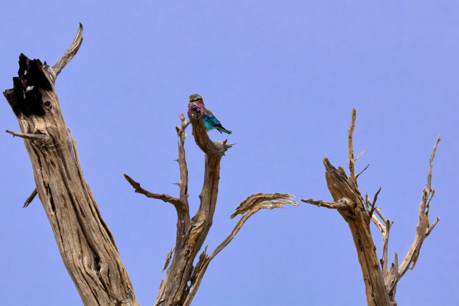 Namibia2024_0599