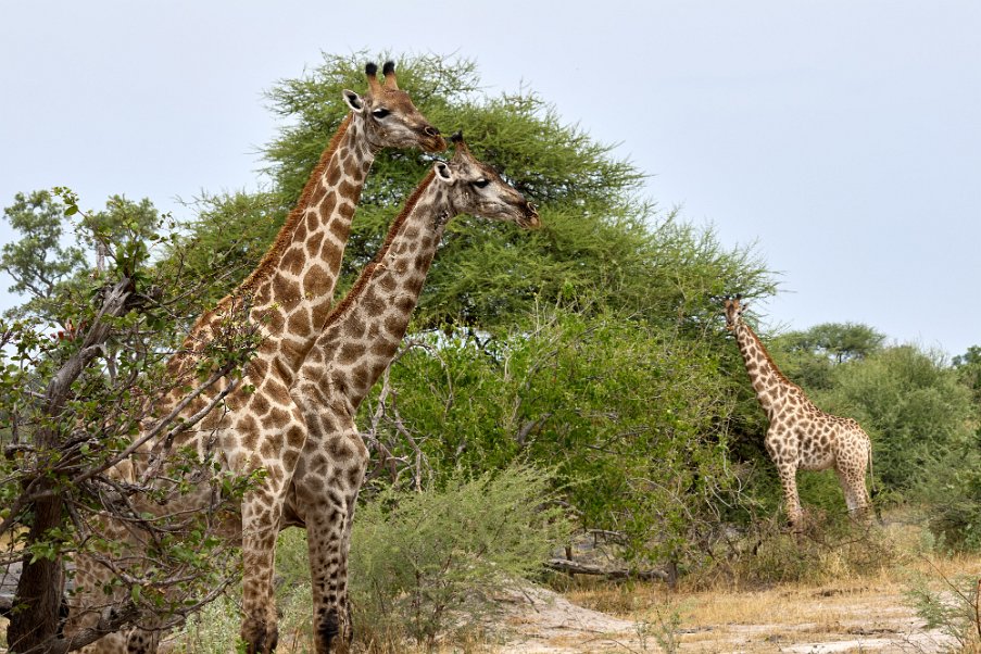 Namibia2024_0604