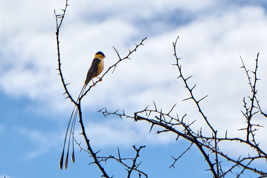 Namibia2024_0462