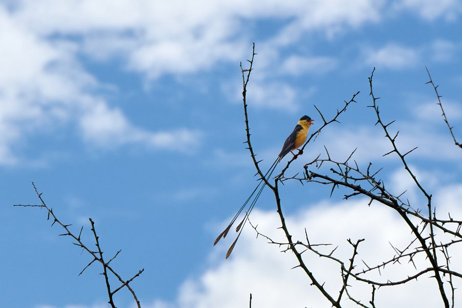 Namibia2024_0464