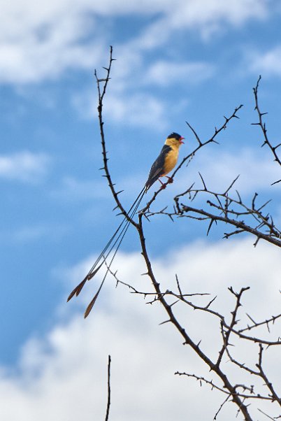 Namibia2024_0465