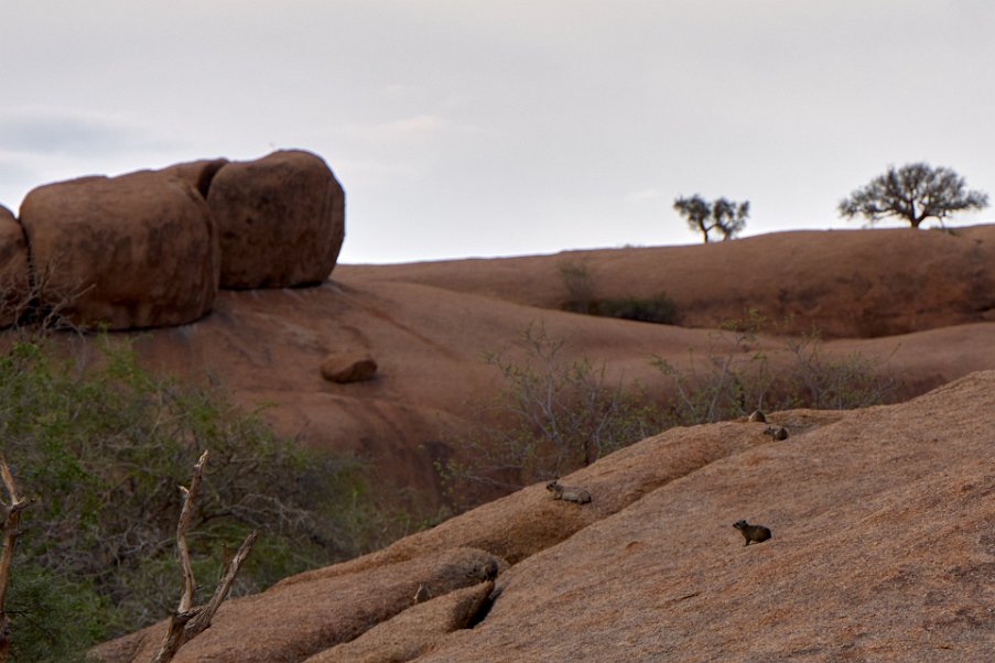 Namibia2024_0102