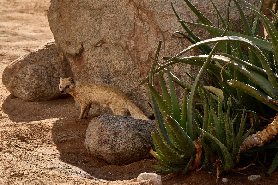 Namibia2024_0060