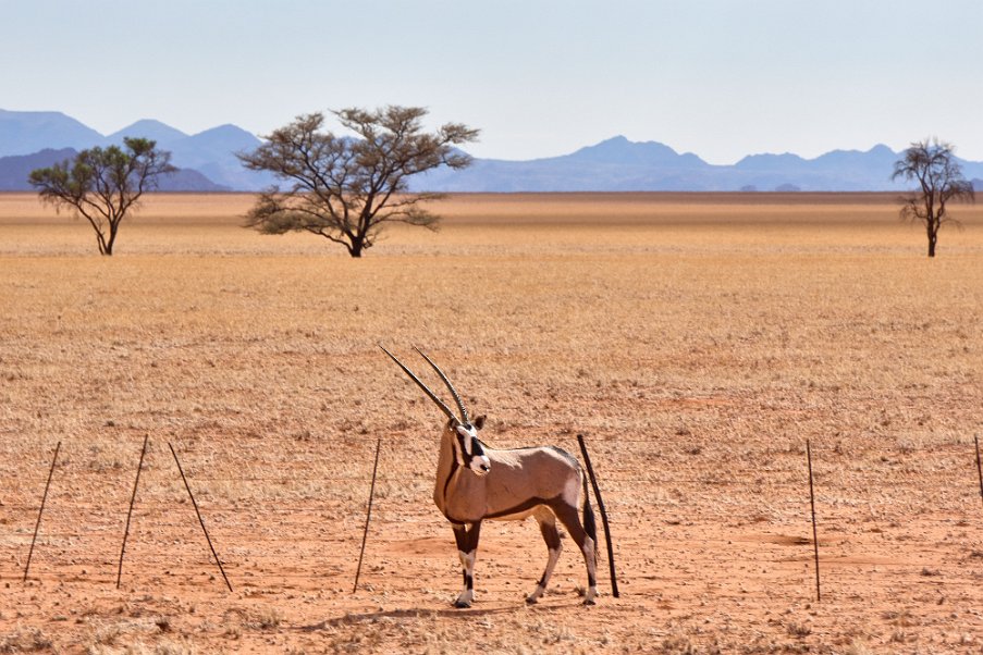 Namibia2024_0062