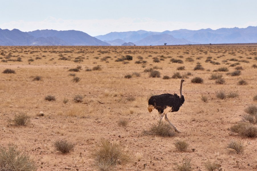 Namibia2024_0063