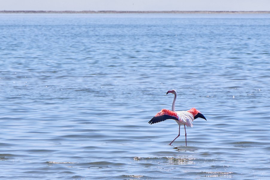 Namibia2024_0073