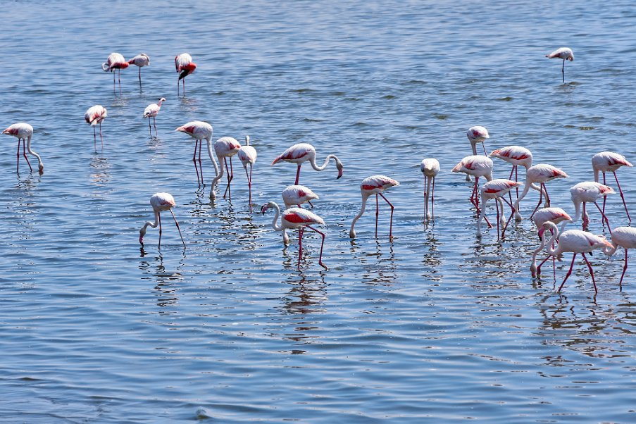 Namibia2024_0074