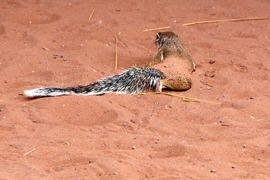 Namibia2024_0249