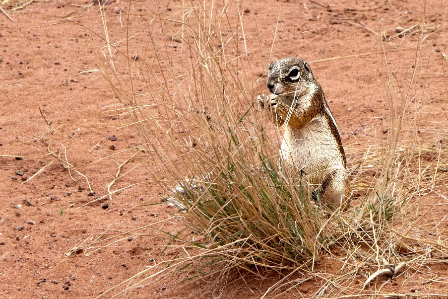 Namibia2024_0259