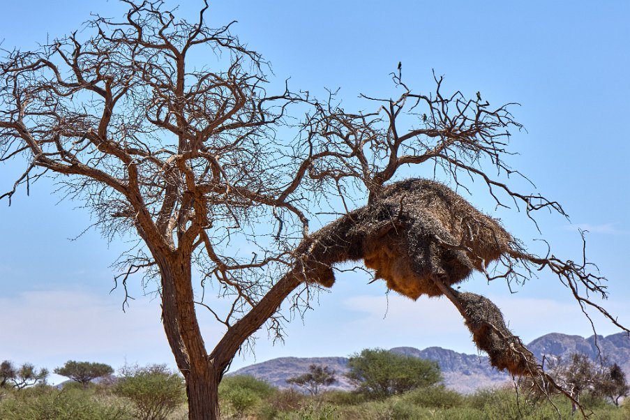 Namibia2024_0006