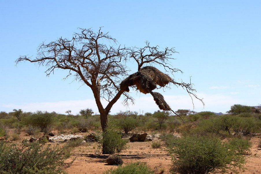 Namibia2024_0007