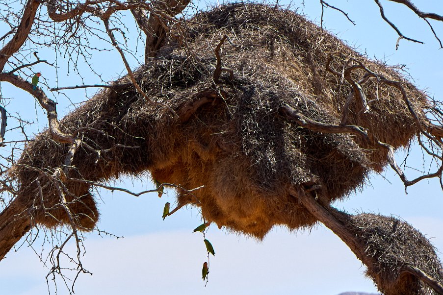 Namibia2024_0008